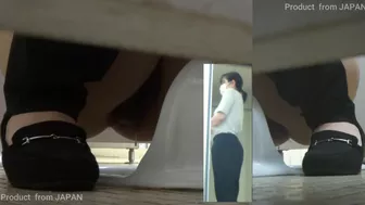 15391150 HD Japanese Toilet Style.288