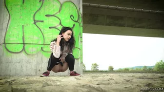 Scene 126, Hidden-Zone WC, PissRIP