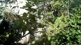 Street Festival Summary 0183