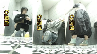 Womens Toilet In a Bar