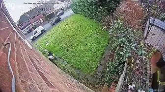 Public Voyeur Pissing Compilation 03