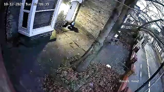 Public Voyeur Pissing Compilation 03