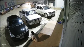 Public Voyeur Pissing Compilation 04