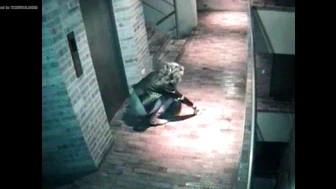 Public Voyeur Pissing Compilation 04