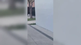 Public Voyeur Pissing Compilation 07