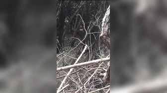Public Voyeur Pissing Compilation 07