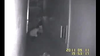 Public Voyeur Pissing Compilation 10