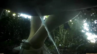 Street Festival Summary 0229