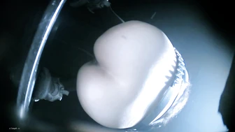 Beauties Galore (Part 5)