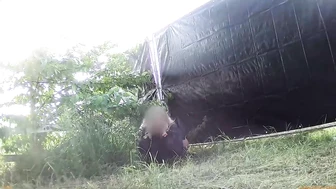 Rock Festival Summary 0405