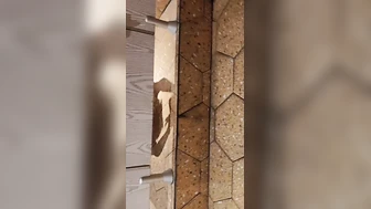 China Toilet Voyeur 2811