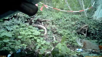 Beer Festival Summary 0040, AbbyWinters, PissRIP