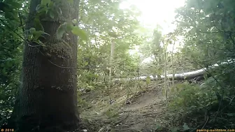 Beer Festival Summary 0040